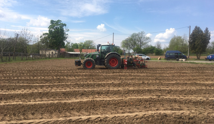 Zámek v Doudlebách nad Orlicí předběhl dobu. Zdejší vinice ještě neplodí, přesto už ve sklepení zkoušejí zrání vína v sudech