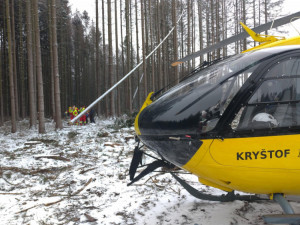 Na mladého muže spadl v Orlických horách při kácení strom. Lékař už jen mohl konstatovat smrt