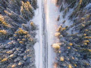 V zimě na silnicích – sněhová čepice
