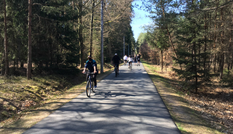 Hradecké lesy zaznamenávají rekordní návštěvnost, lidé jsou ukáznění