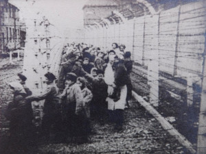 Na osvobození Osvětimi nikdy nezapomenu, vzpomíná poslední žijící dvojče, na kterém Josef Mengele prováděl pokusy