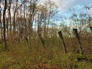 FOTO: U Hradce Králové jsou zbytky tajné nacistické továrny
