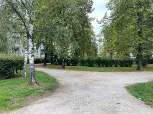Hradec Králové rozšíří městskou zeleň. Nové budou stromy i květiny v parcích