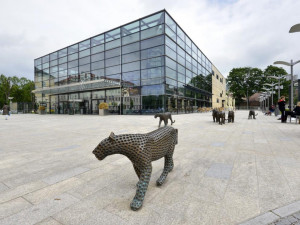 V Trutnově vzniklo další testovací centrum. Od dnešního dopoledne funguje ve společenském centru UFFO