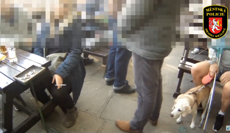 Na předzahrádce plné lidí teklo pivo proudem. Strážníci se dozvěděli, že je pivo lék