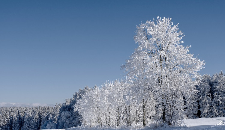 Po zbytek března ještě může v noci mrznout, objeví se i sníh