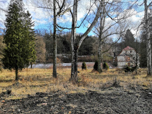Náchod chce koupit areál lázní Běloves. Bude vyjednávat o ceně a podmínkách