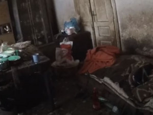 Policie obvinila ženy, které ve Dvoře Králové v děsivých podmínkách chovaly téměř 40 psů