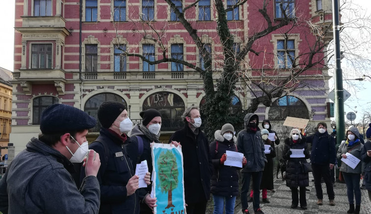 Lidé v Praze 1 demonstrovali proti kácení javoru. To je nyní pozastaveno