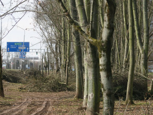 Hradubickou obklopí protihluková stěna. Denně tudy projede přes 30 tisíc řidičů