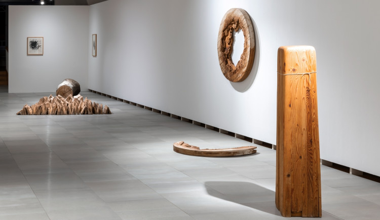 Galerie moderního umění v Hradci Králové nakoupila nová díla za 4,5 milionu korun