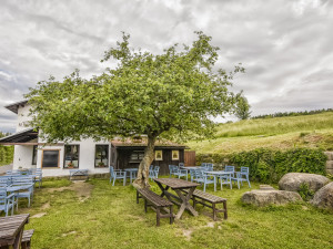 Jabloň u Lidmanů v anketě Evropský strom roku neobstála. Na prvním místě je tisíciletý dub ze Španělska