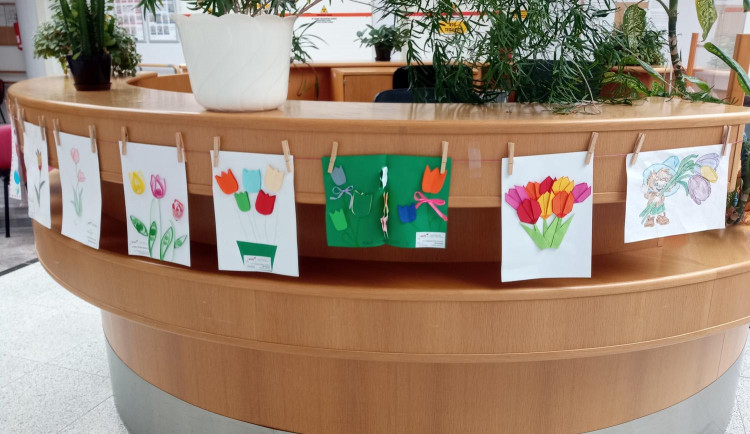 Onkologii a radiologii hradecké nemocnice zdobí obrázky tulipánů. Díla vznikala ve školkách i mezi pacienty