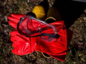 Hasiči a veterináři dnes likvidují ohnisko ptačí chřipky v Dobřenicích