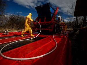V Zábědově začala likvidace chovu kachen s ptačí chřipkou
