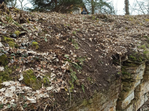 Žena z Rychnovska nedorazila do práce, policisté ji našli pod skalním převisem