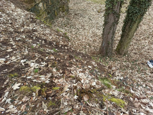 Žena z Rychnovska nedorazila do práce, policisté ji našli pod skalním převisem