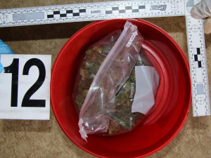 Místo hlídání svěřenou neteř znásilnil a celý akt si nafotil. Muži z Náchodska teď hrozí 12 let vězení