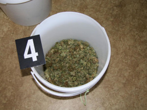 Místo hlídání svěřenou neteř znásilnil a celý akt si nafotil. Muži z Náchodska teď hrozí 12 let vězení