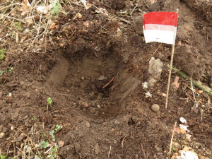 Archeologům při průzkumu budoucích dálnic pomáhají desítky dobrovolníků