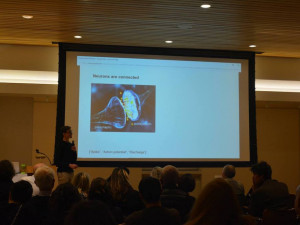 Z Pištína až do New Yorku. Přijímací proces na americkou univerzitu je v mnoha ohledech specifický, říká vědec Roman Huszár