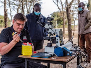 Vědci z východočeské zoo vytvořili další čtyři embrya ohrožených nosorožců. Celkem jich mají devět