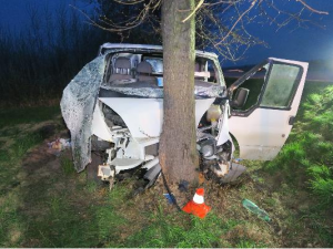 Řidič u Doudleb čelně narazil do stromu, na místě zasahoval i vrtulník