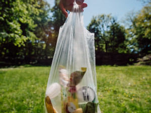 Nejsem prase: Iniciativa vyzývá o víkendu k úklidu. Uklízet se bude i v hradeckých lesích