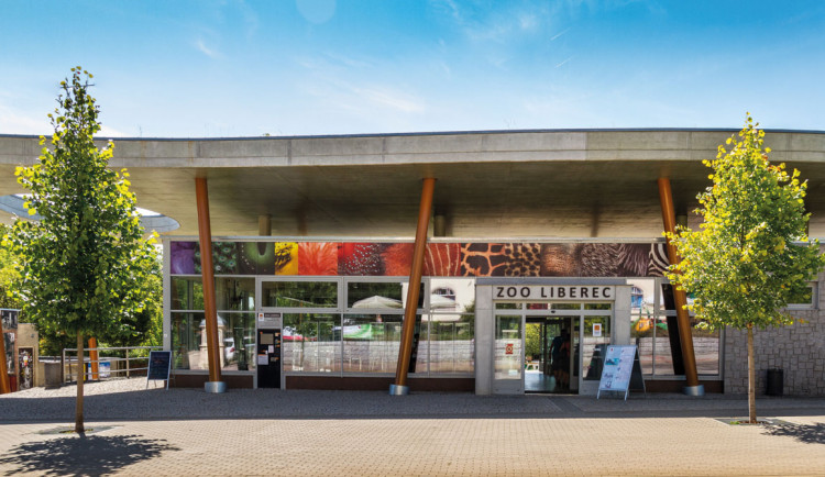 Benefiční online koncert „Hrajeme pro 20 ZOO“