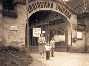 Safari Park ve Dvoře Králové dnes slaví 75 let. Prohlédněte si dobové fotografie