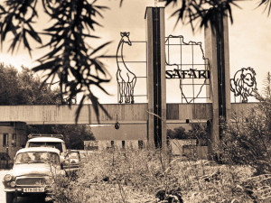 Safari Park ve Dvoře Králové dnes slaví 75 let. Prohlédněte si dobové fotografie