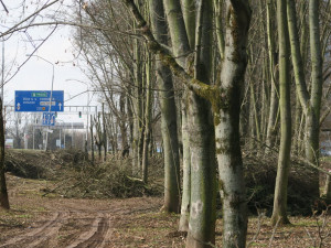 ANKETA: Jak se vám líbí protihluková stěna na hradecké Rašínovce? Začne se stavět tento měsíc