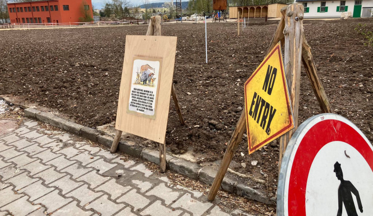 Safari Park ve Dvoře Králové chce chovat tučňáky. Staví pro ně speciální pavilon