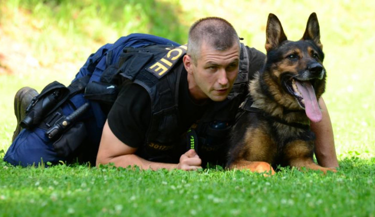 Zloděje kol prozradila kšiltovka. Policejní pes Roky chytl stopu a muže vypátral