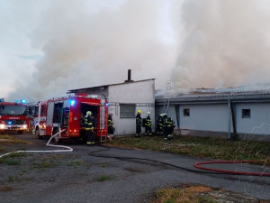U Holic hořela drůbežárna plná kuřat, pomáhali i hasiči z Rychnova