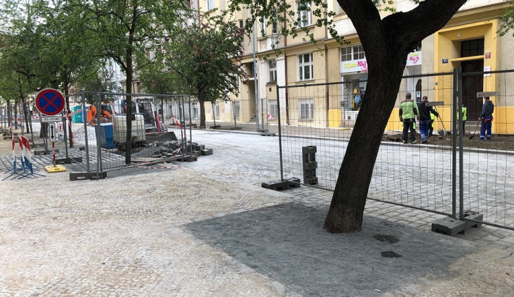 V Praze se rozhořel spor o výsadbu nových stromů. Budou v betonových kobkách a zasypány mlatem?