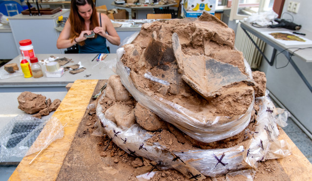 Ve Svinišťanech archeologové našli pravěká sídliště i důkazy o boji z roku 1866