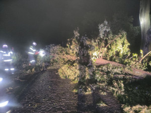 Hasiči kvůli bouři evakuovali dva dětské tábory, tři děti jsou lehce zraněné