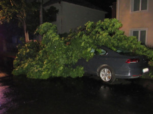 Hasiči kvůli bouři evakuovali dva dětské tábory, tři děti jsou lehce zraněné