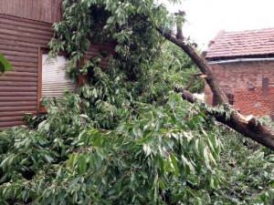 Hasiči kvůli bouři evakuovali dva dětské tábory, tři děti jsou lehce zraněné