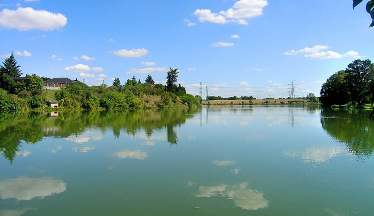 Ve dvou přírodních koupalištích v Praze jsou sinice