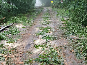 Čtvrteční ráno po bouři na frekventované silnici ze Dvora Králové na Hostinné