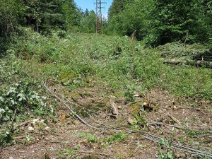 Spadlé dráty vysokého napětí u přehrady Les Království