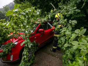 Bouře na Hradecku lámala stromy. Přívalový déšť zatopil sklepy