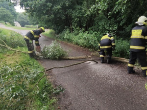 Bouře na Hradecku lámala stromy. Přívalový déšť zatopil sklepy