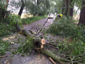 Bouře na Hradecku lámala stromy. Přívalový déšť zatopil sklepy