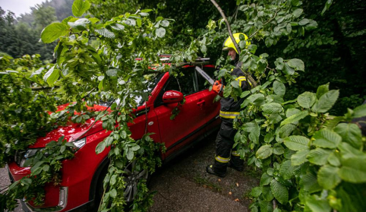 Bouře na Hradecku lámala stromy. Přívalový déšť zatopil sklepy