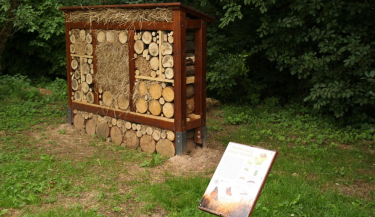 Hmyzí hotely se stávají oblíbeným prvkem v řadě měst. Nejnovější jsou ve Dvoře Králové