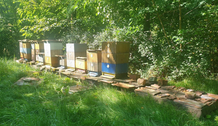 Dnes se krade opravdu všechno. Zloděj odnesl plástve a 80 kilogramů medu