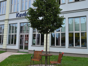 Lavička Václava Havla je zpět před hradeckou knihovnou. Nově ji bude hlídat kamera